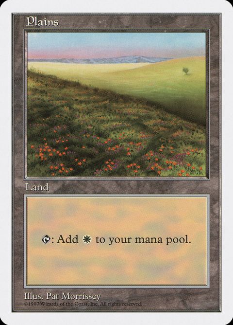 431-plains