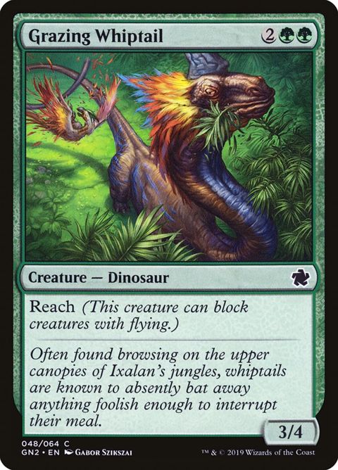 48-grazingwhiptail