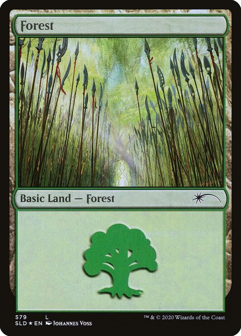 579-forest