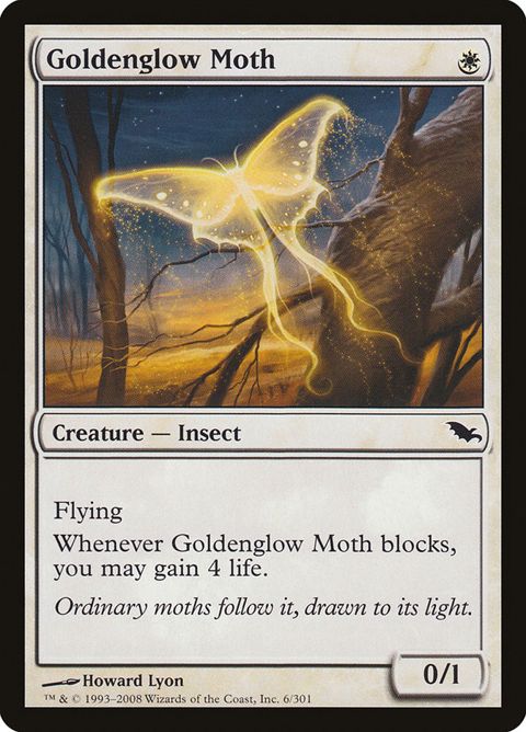 6-goldenglowmoth