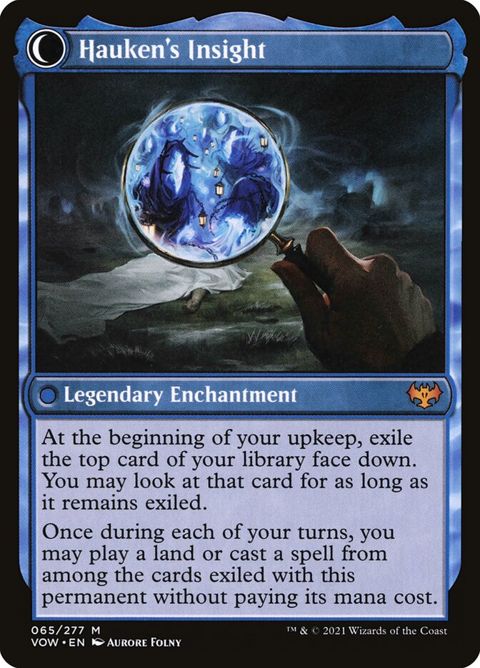 65-jacobhaukeninspectorhaukensinsight