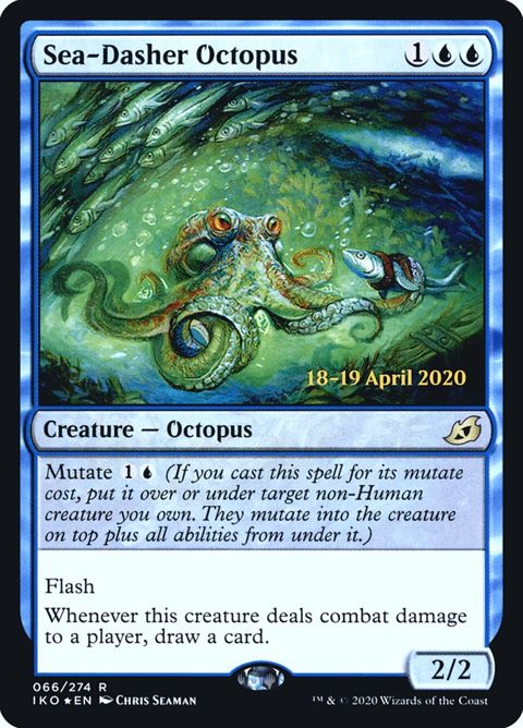 66s-seadasheroctopus