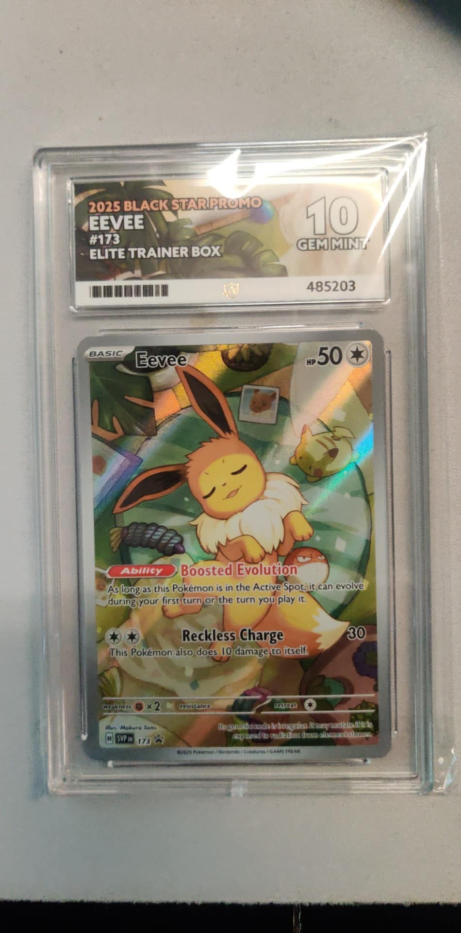 Eevee 173 BSP (Elite Trainer Box) English ACE-10