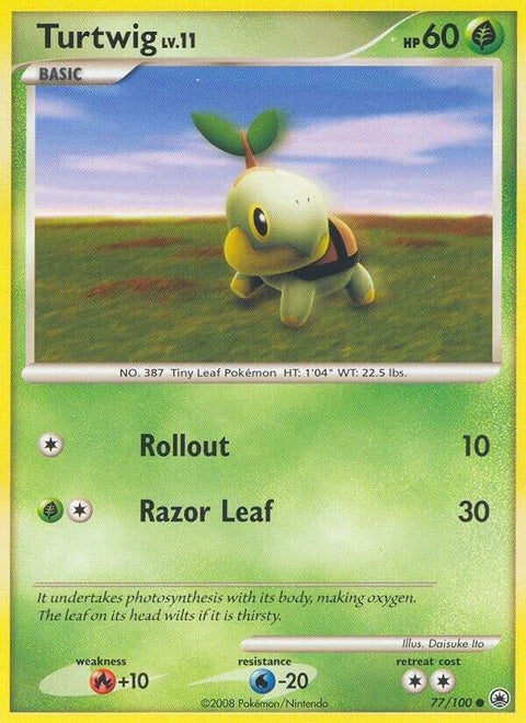 77-turtwig