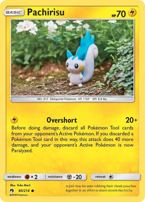 80-pachirisu