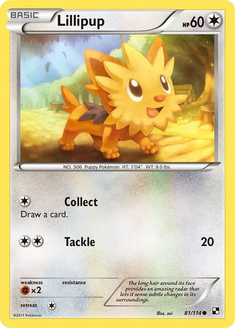 81-lillipup