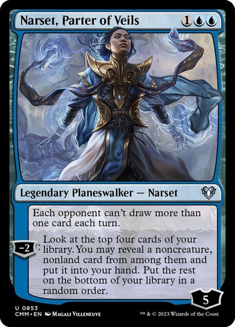 853-narsetparterofveils