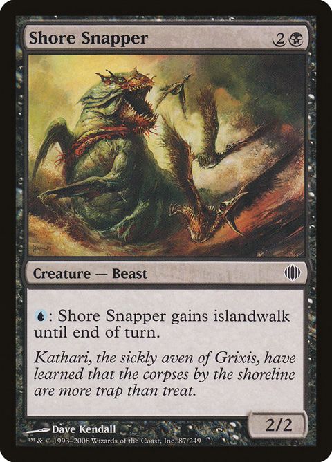 87-shoresnapper