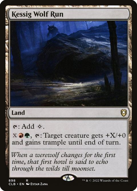 898-kessigwolfrun