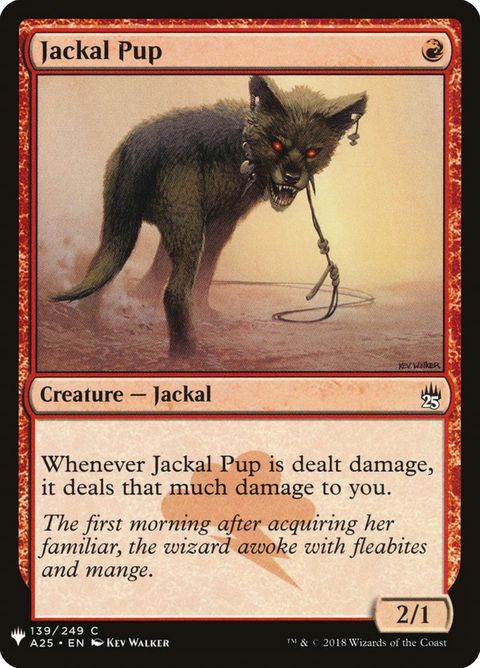 A25-139-jackalpup