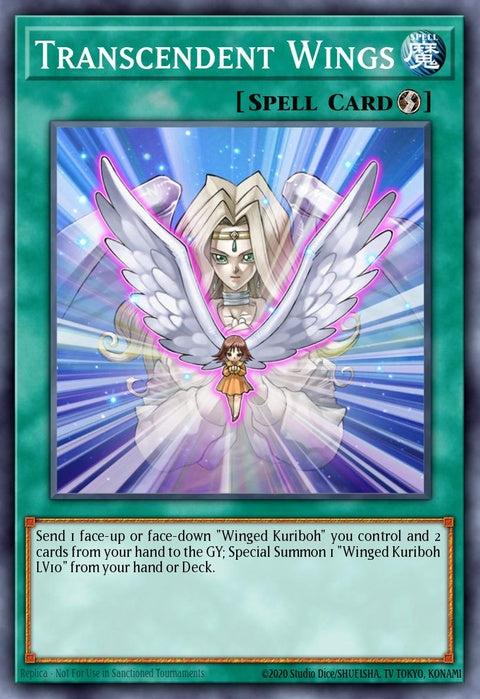 ac19-en022-transcendentwings