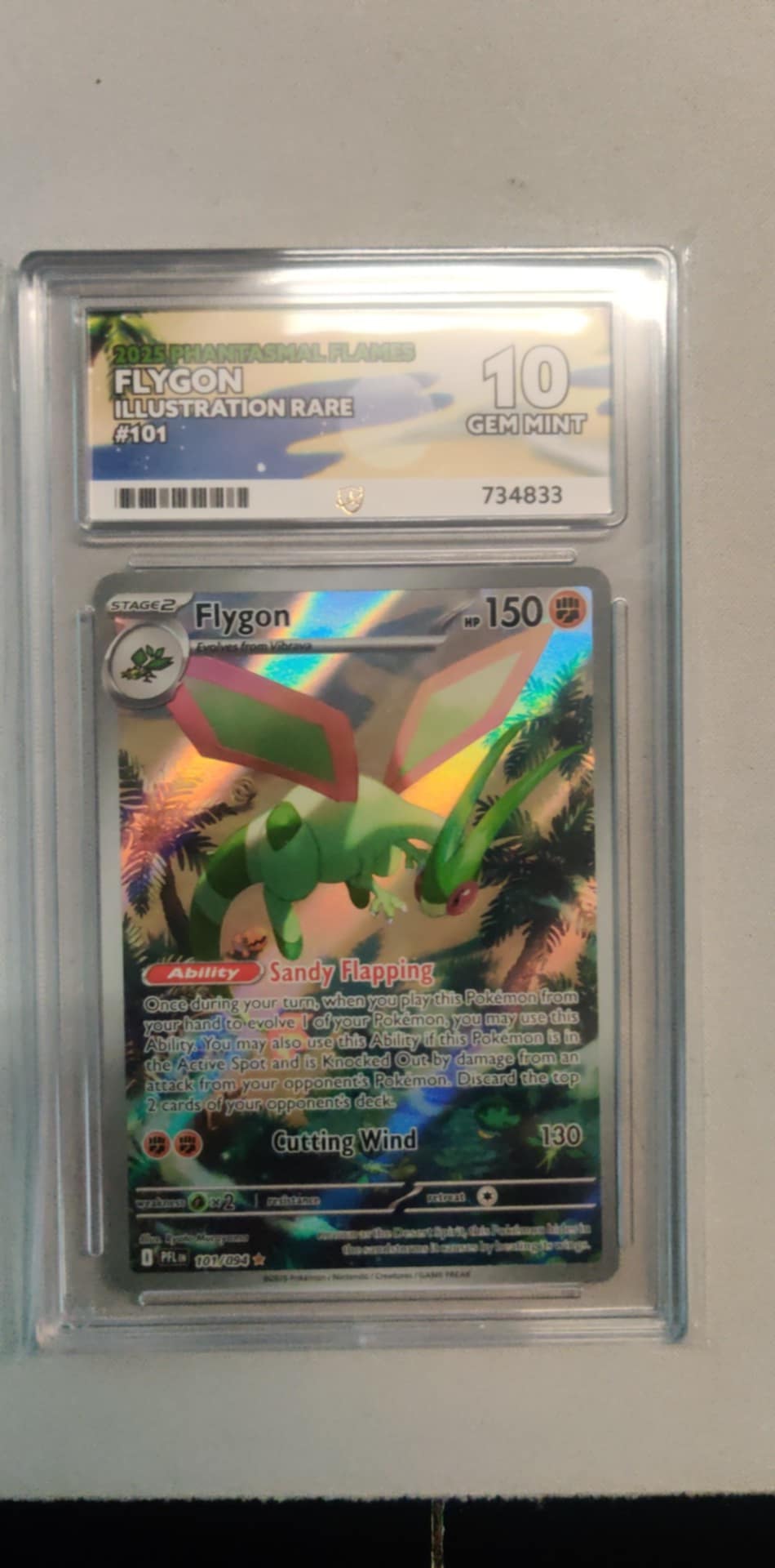 Flygon 101 MEPF English ACE-10