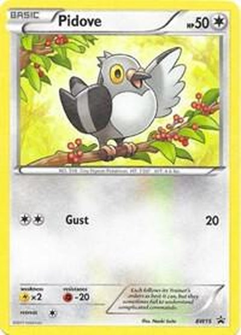 bw15-pidove