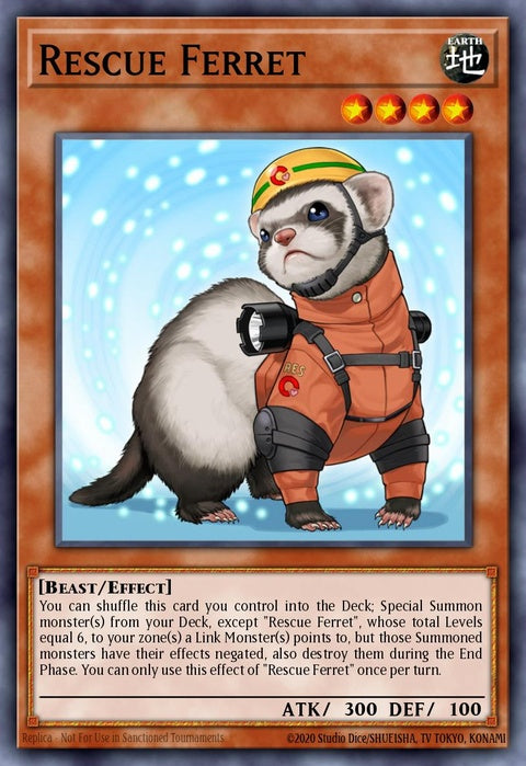 cotd-en029-rescueferret