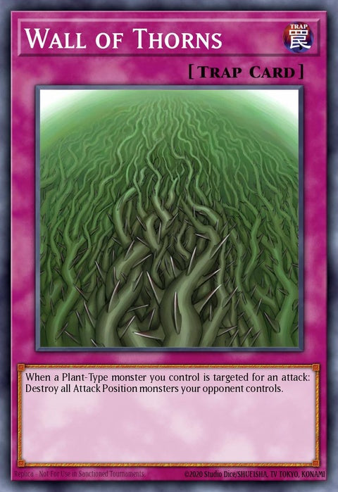 crms-en079-wallofthorns