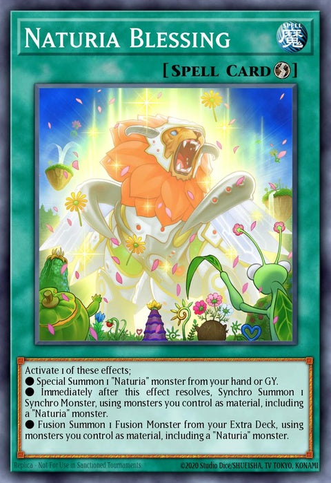 dabl-en064-naturiablessing