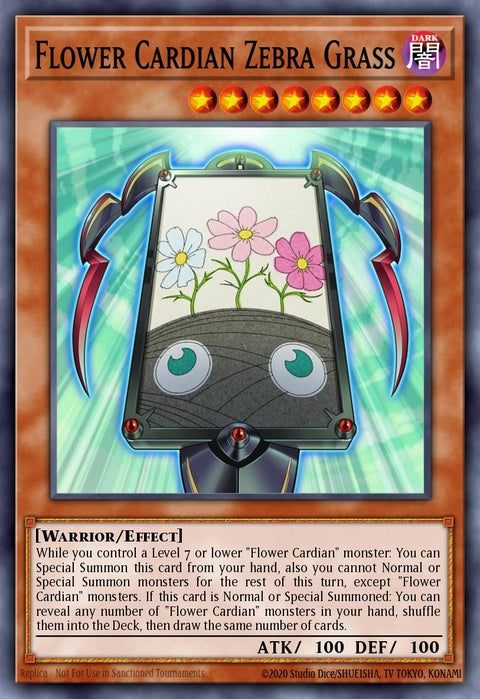 dlcs-en128-flowercardianzebragrass