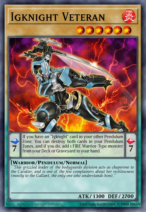 docs-en031-igknightveteran