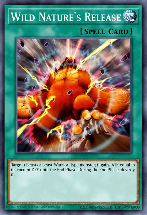 dr2-en033-wildnaturesrelease