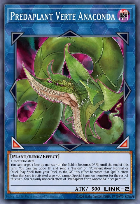 duov-en021-predaplantverteanaconda