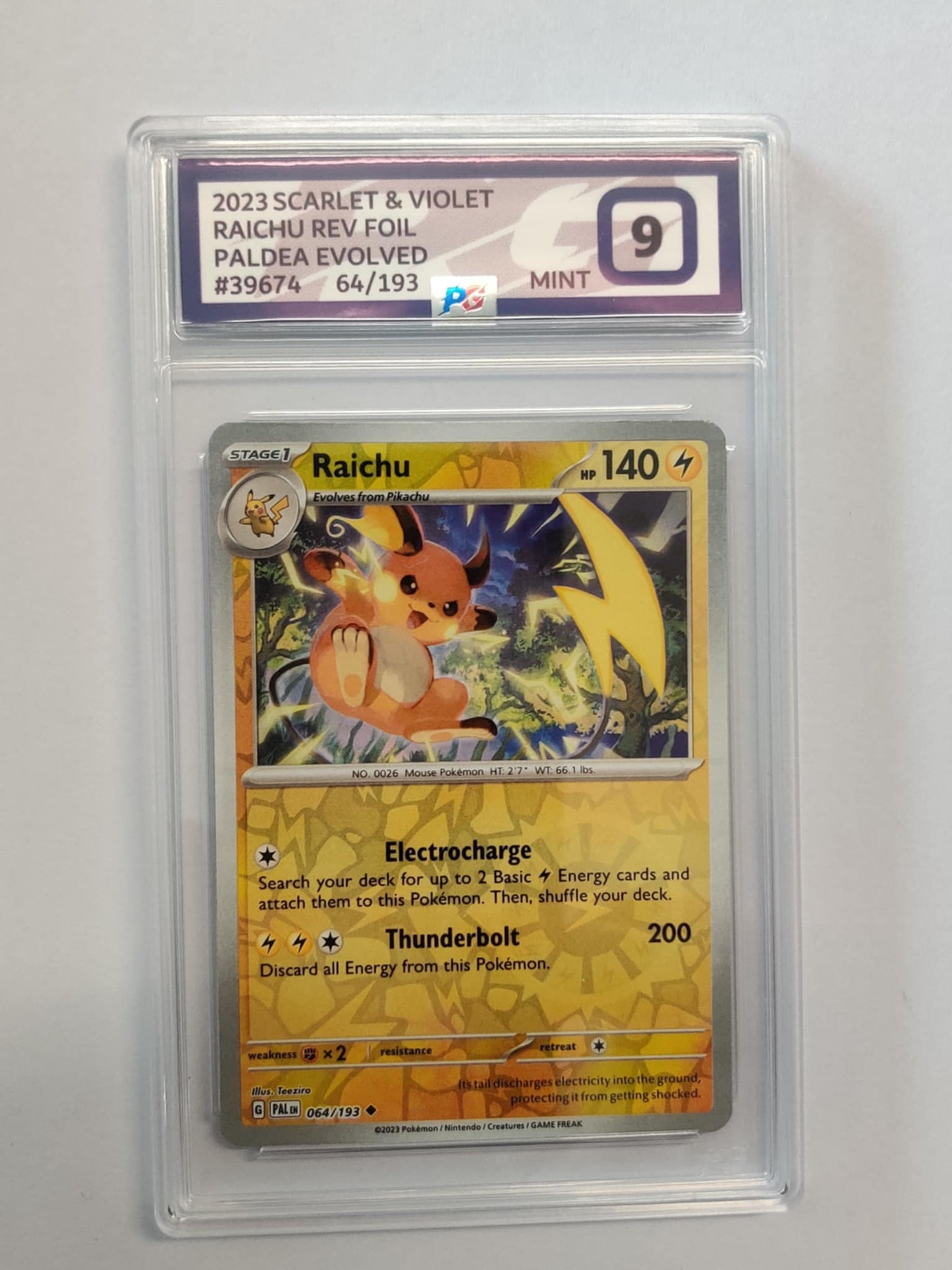Raichu PAL064 ENGLISH PG-9