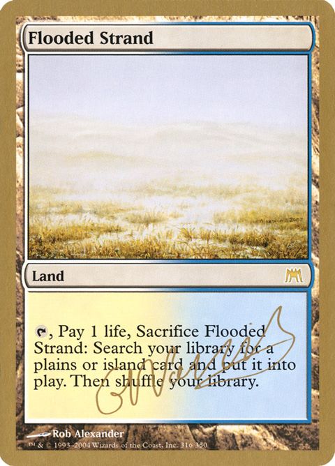 gn316-floodedstrand