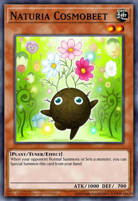 ha02-en042-naturiacosmobeet