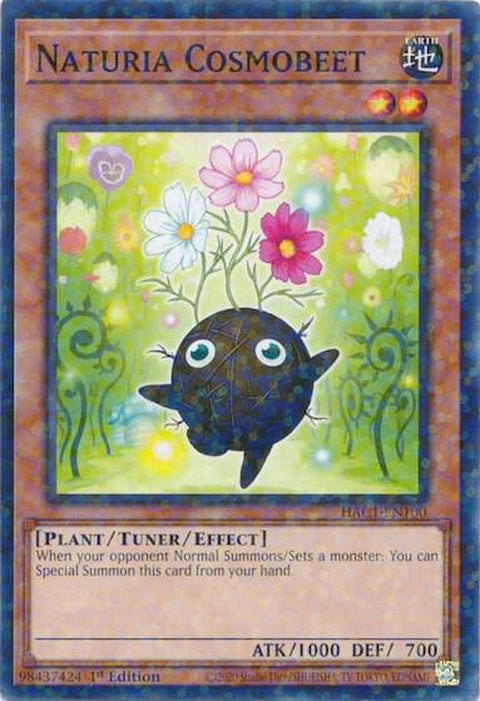 hac1-en100-naturiacosmobeetduelterminal
