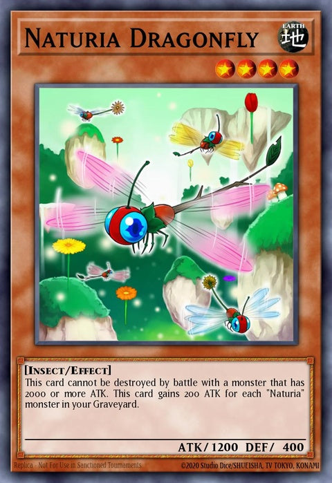 hac1-en101-naturiadragonfly