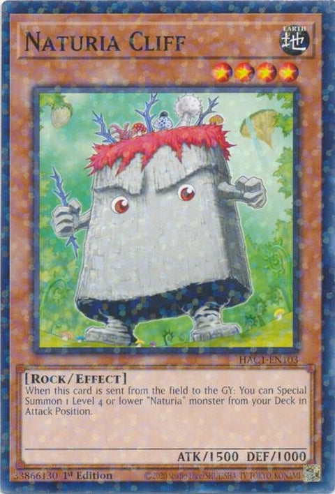 hac1-en103-naturiacliffduelterminal