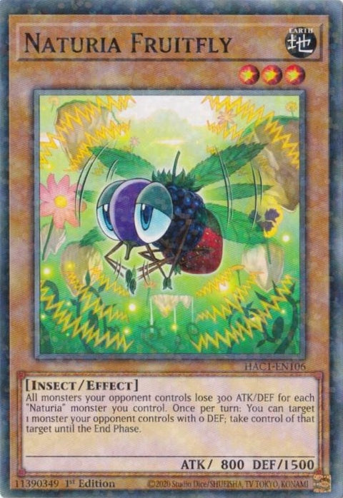 hac1-en106-naturiafruitflyduelterminal