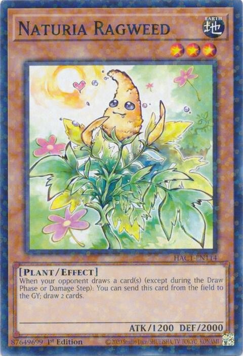 hac1-en114-naturiaragweedduelterminal