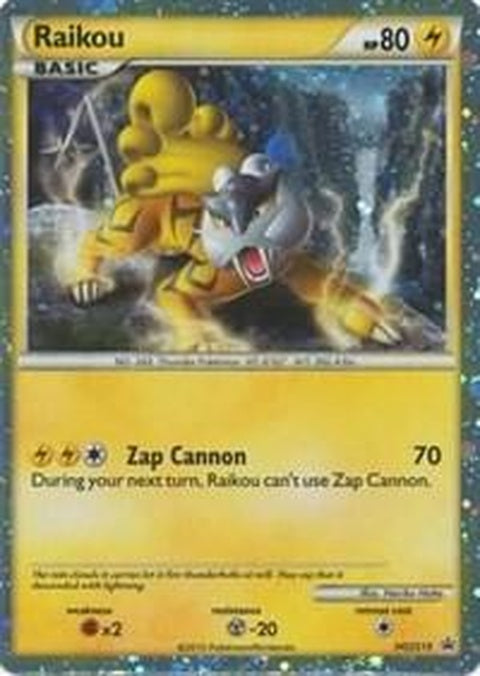 hgss19-raikou