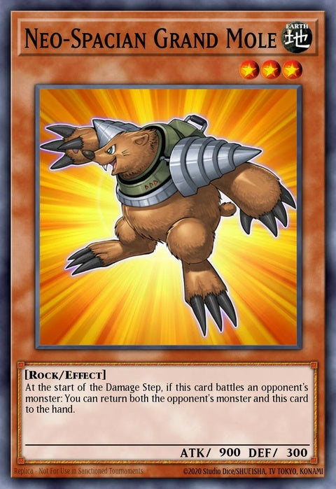hl07-en002-neospaciangrandmole