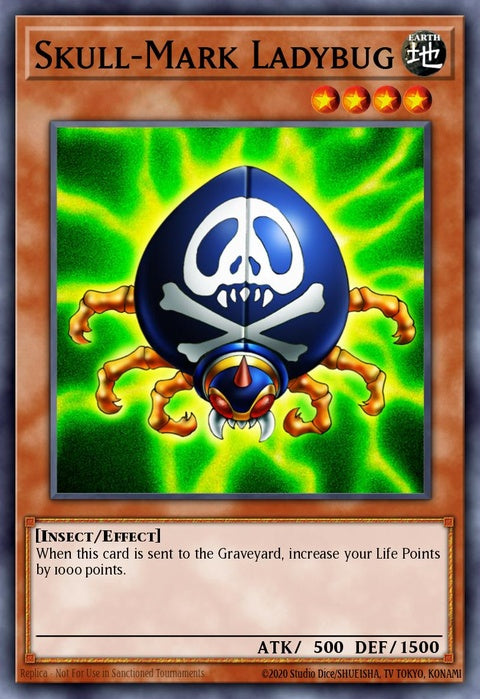 ioc-en079-skullmarkladybug