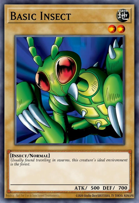 lob-en008-basicinsect