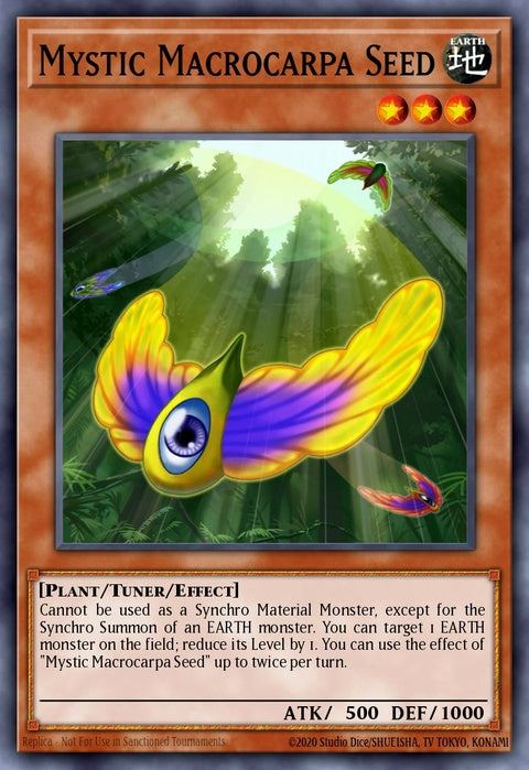 lval-en035-mysticmacrocarpaseed