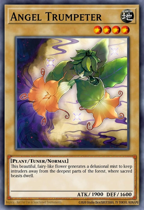 mp17-en001-angeltrumpeter