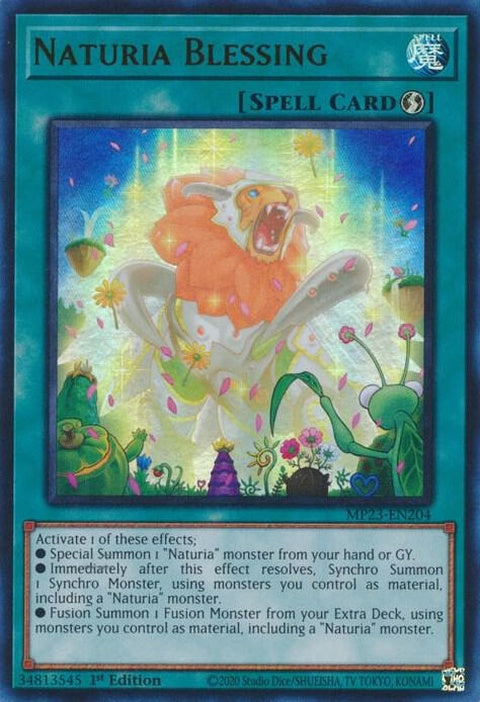 mp23-en204-naturiablessing