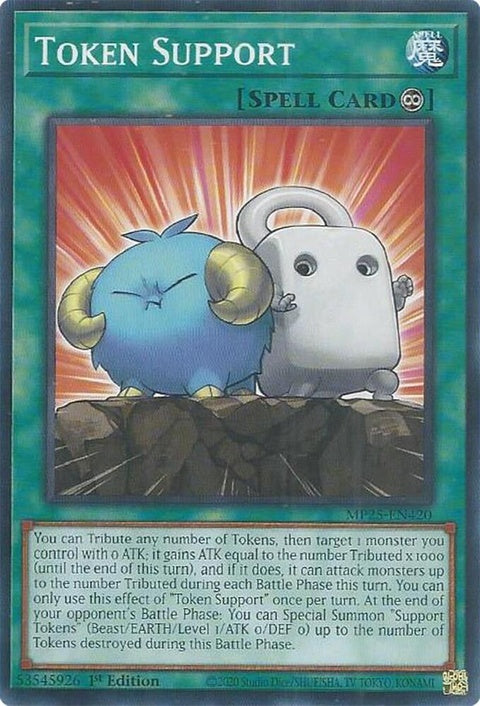 mp25-en420-tokensupport