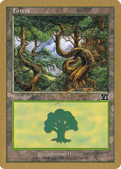 nl347-forest