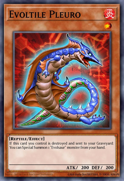 orcs-en025-evoltilepleuro