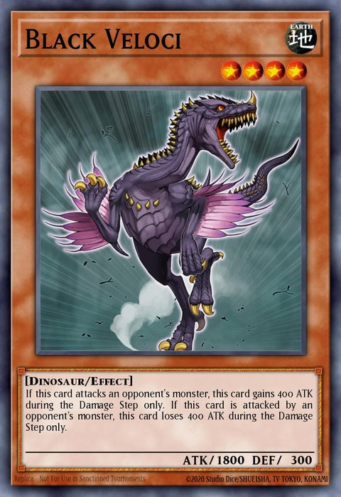 ptdn-en033-blackveloci