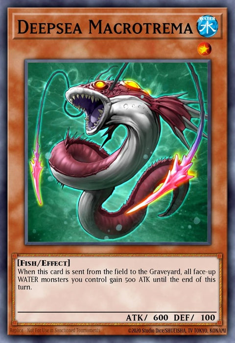 ptdn-en083-deepseamacrotrema