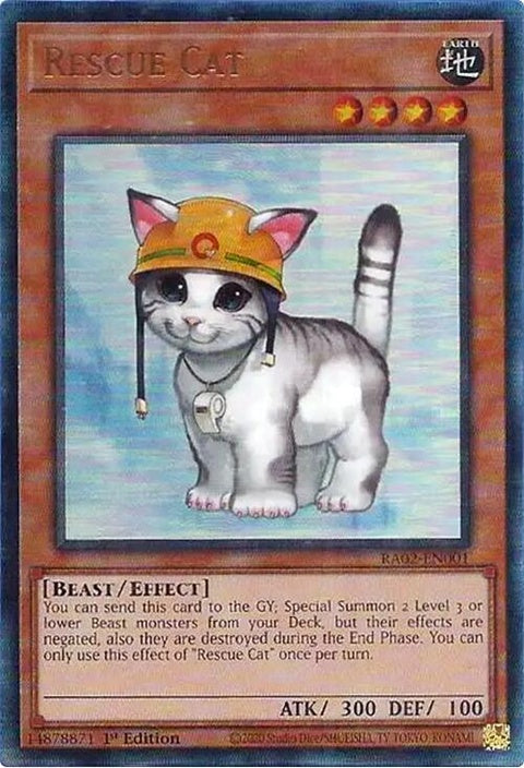 ra02-en001-rescuecatpur