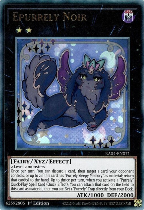 ra04-en071-epurrelynoirpur