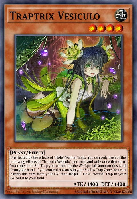 sdbt-en008-traptrixvesiculo