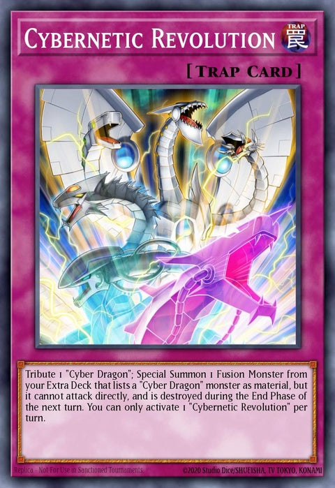 sdcs-en035-cyberneticrevolution