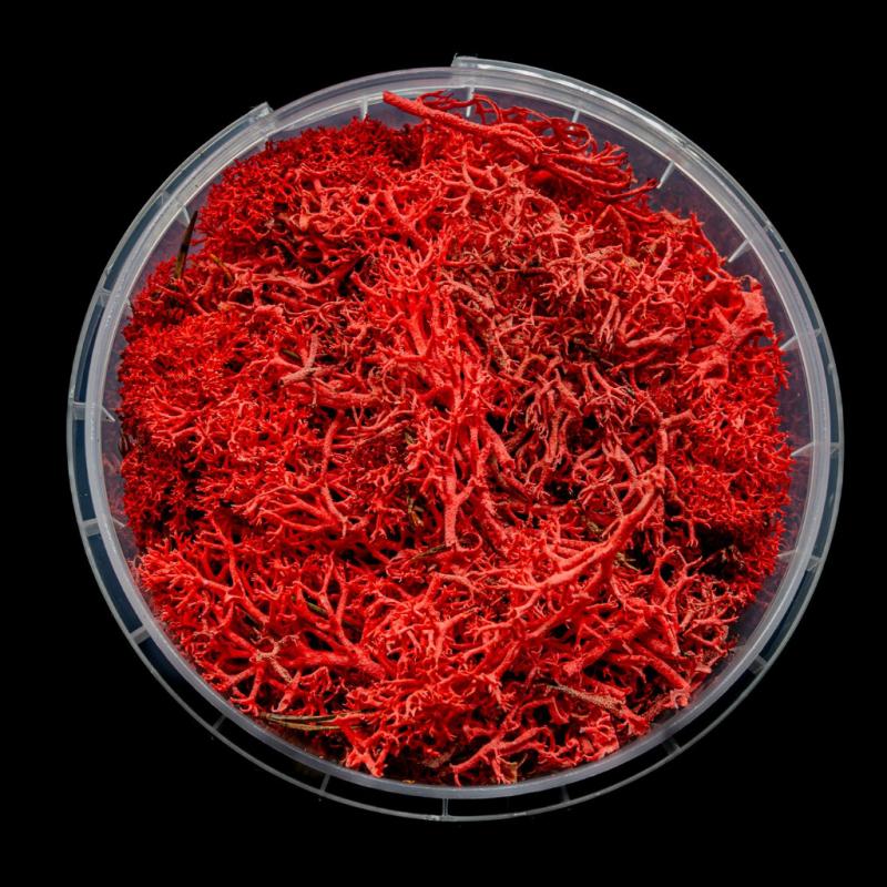 Bleeding Hedge Basing Material