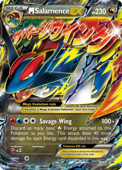 xy171-msalamenceex